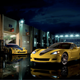 Illustration for article titled 2009 Corvette GT1 Championship Edition: Like A C6R, Only Slower